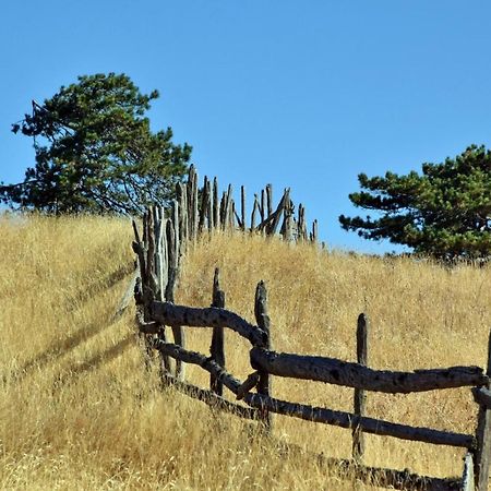 Sedmica Zlatibor Vip Bogic公寓 外观 照片
