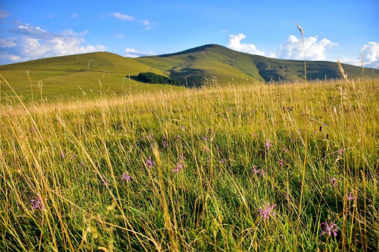 Sedmica Zlatibor Vip Bogic公寓 外观 照片
