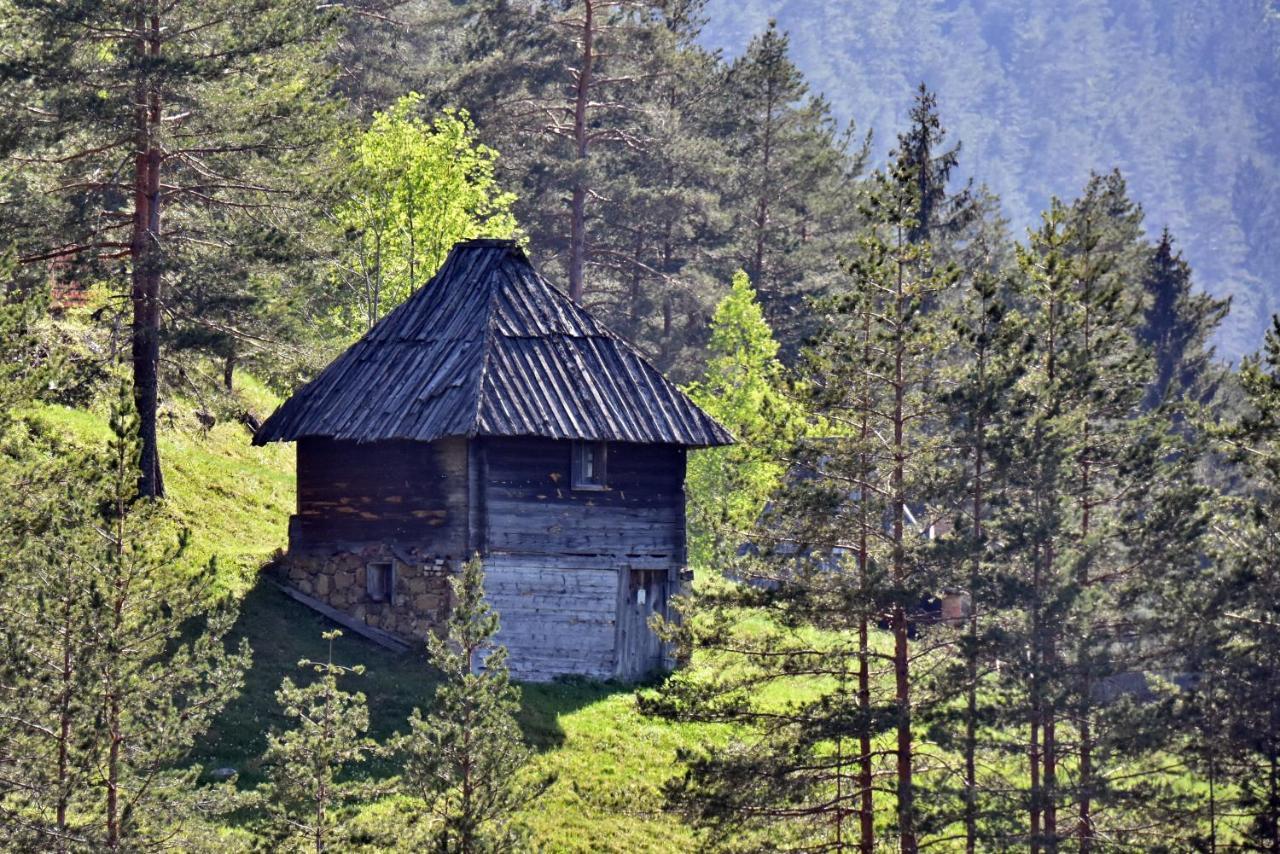 Sedmica Zlatibor Vip Bogic公寓 外观 照片
