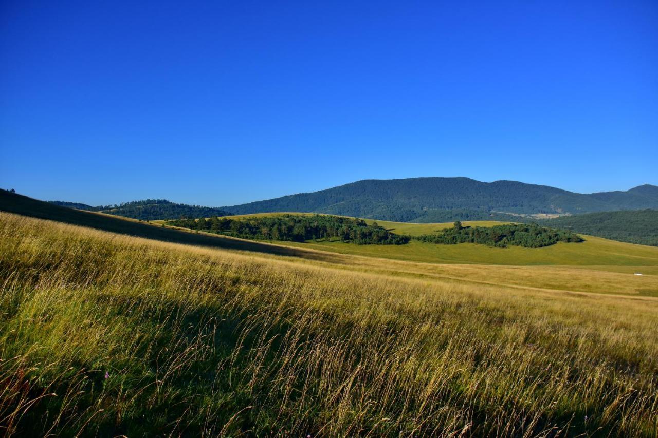 Sedmica Zlatibor Vip Bogic公寓 外观 照片